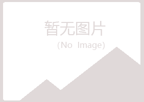 庆阳西峰夏青化学有限公司